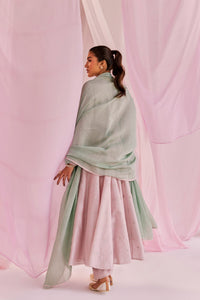 Aleysa Anarkali Set